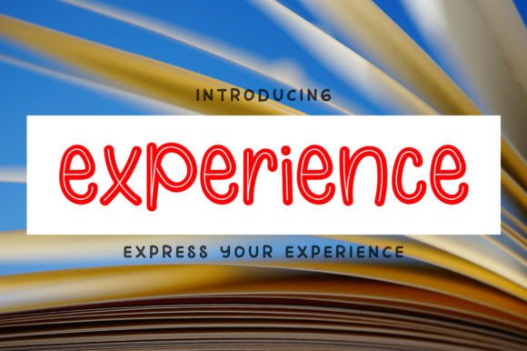 Experience Font Review